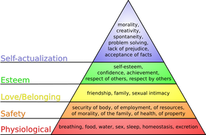 800px-Maslow's_hierarchy_of_needs_svg